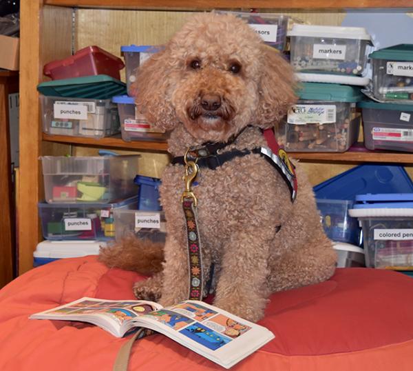 Molly at the Acton Memorial Library in Massachusetts  