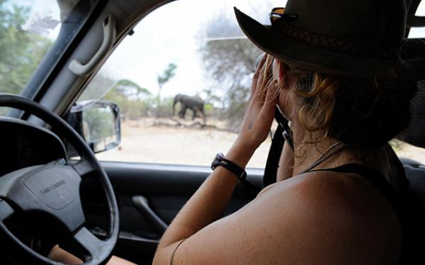 Kate Evans works in the field to conserve elephants.