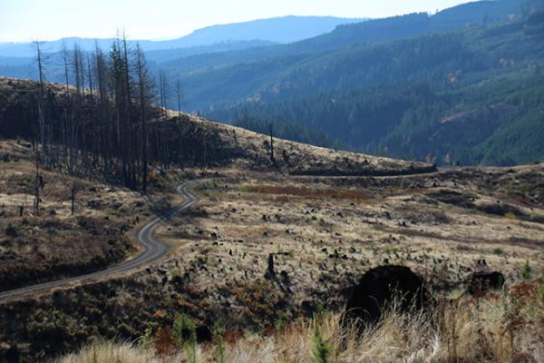 An image of Scoggins Valley, Oregon, where the worst of the Scoggins Valley fire occurred