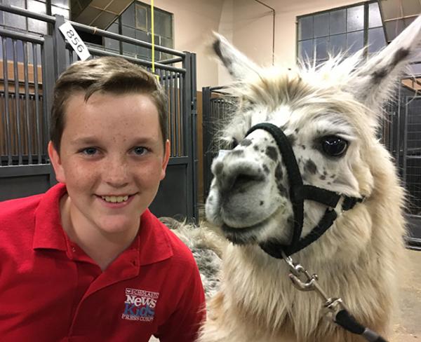 Ryan with a llama at the Minnesota State Fair