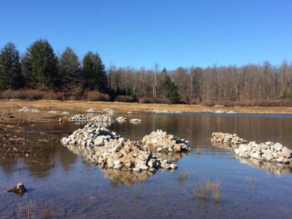 Limestone rubble piles added to the lake bed help to improve fish habitats and water quality. Limestone rubble piles added to the lake bed help to improve fish habitats and water quality.