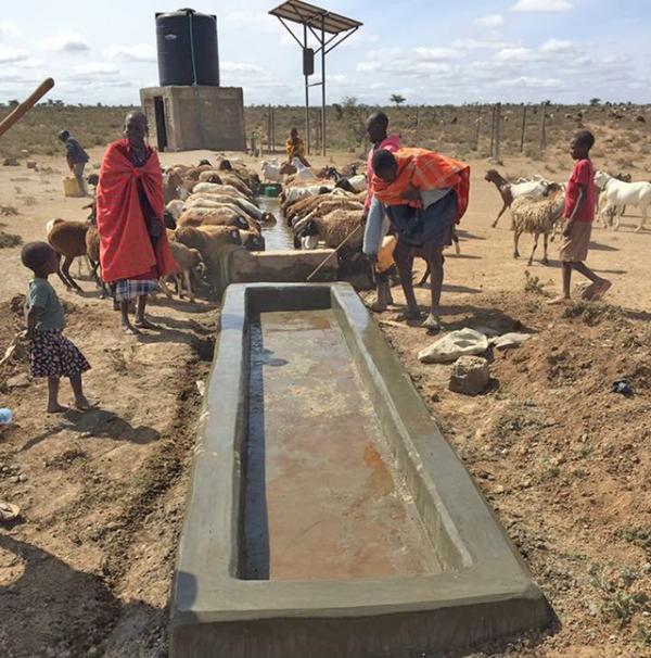 Sabore's fellow villagers and their animals collecting water from the well he built.