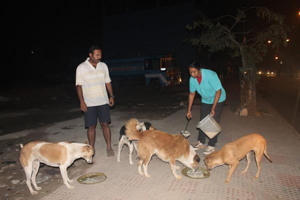 Anil Prasad and Bismi Anil feeding stray dogs