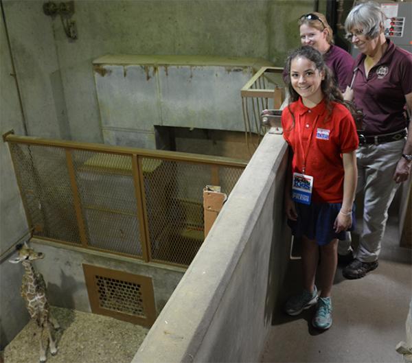 Sadie visits Bogey, a baby giraffe, at the Memphis Zoo.