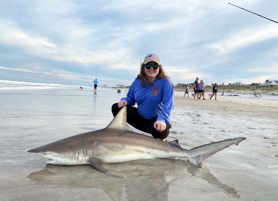 shark fishing off the beach questions