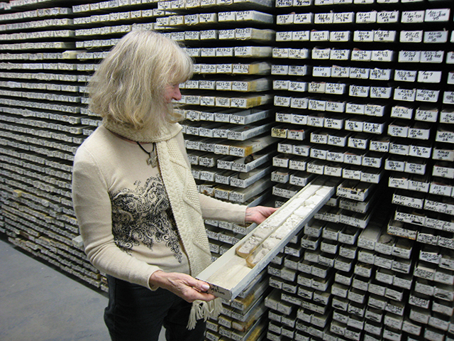 One of the 13,000+ physical samples housed in the Lamont Deep Sea Sample Repository at the Lamont-Doherty Earth Observatory. Photo by Kkostel