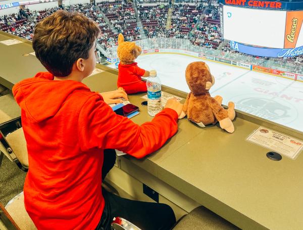 AHL's Hershey Bears set Teddy Bear Toss record