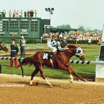 A photo of Secretariat at Churchill Downs Racetrack (courtesy of the Kentucky Derby Museum and Churchill Downs Racetrack)