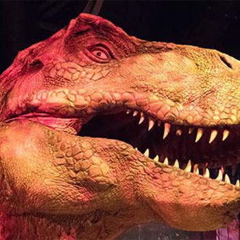 An animatronic Tyrannosaurus rex (T. rex) is part of “Jurassic World: The Exhibition” at the Field Museum in Chicago, Illinois. The interactive exhibit is based on the real-world science of dinosaur DNA.