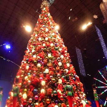 Christmas tree at the Navy Pier Winter WonderFest